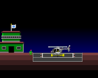 Night of the Little Birds