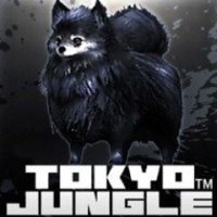 Tokyo Jungle: Pomeranian Black