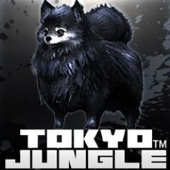 Tokyo Jungle: Pomeranian Black