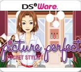 Picture Perfect Pocket Stylist