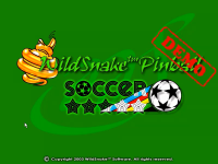 Soccer Stars Pinball