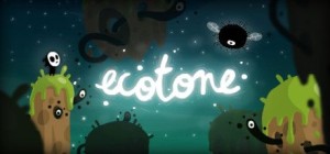 Ecotone