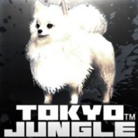 Tokyo Jungle: Pomeranian White