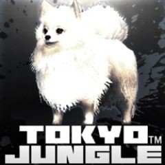 Tokyo Jungle: Pomeranian White