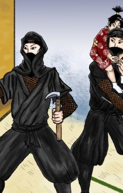 Choice of the Ninja