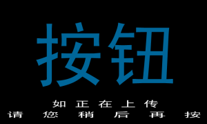 Xiao Xiao No. 2