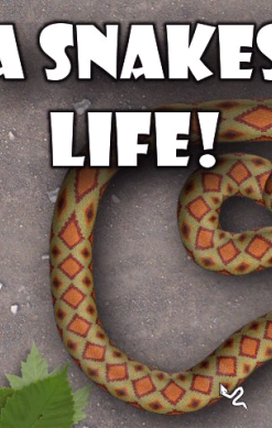 A Snake's Life