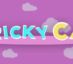 Tricky Cat