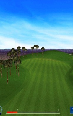 Ultimate Golf Simulation