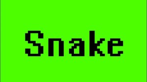 Snake