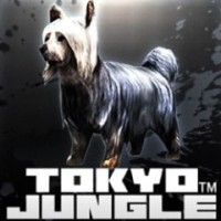 Tokyo Jungle: Silky Terrier