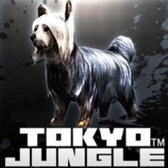 Tokyo Jungle: Silky Terrier