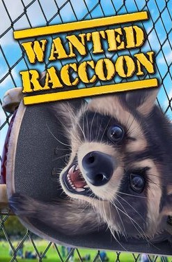 Wanted Raccoon