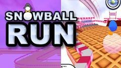 Snowball Run