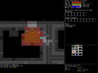 Rogue Survivor