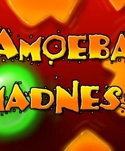 Amoeba Madness