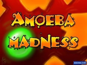 Amoeba Madness