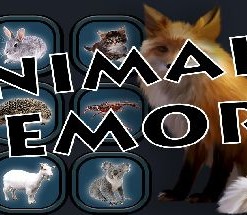 Animals Memory