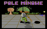 Pole Minowe