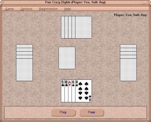 Fun Crazy Eights