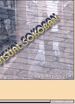 Visual Sokoban