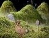 Samorost
