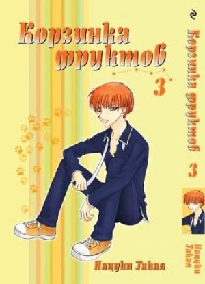 Корзинка фруктов. Том 3