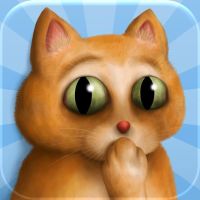 Clumsy Cat