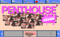 Penthouse Electric Jigsaw