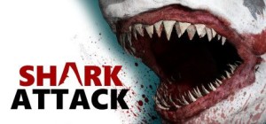 Shark Attack