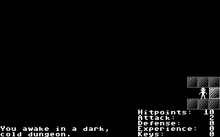 Dungeon Crawl