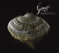 Samorost 2