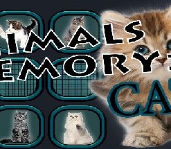 Animals Memory: Cats