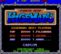 Pirate Ship Higemaru