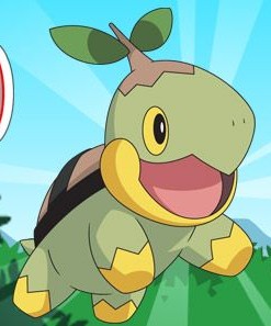 Turtwig's Target Smash!