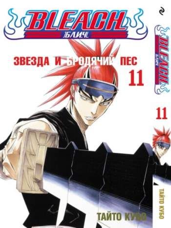 Блич. Том 11. Звезда и бродячий пес