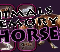 Animals Memory: Horses