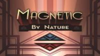 Magnetic By Nature