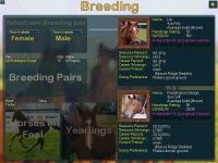 Starters Orders Pro