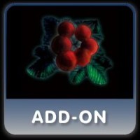 Wizardry: The Prisoners of the Lost City - Fruit of Growth