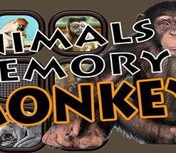 Animals Memory: Monkeys