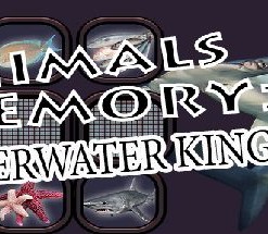 Animals Memory: Underwater Kingdom