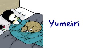 Yumeiri