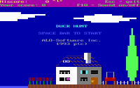 Duck Hunt