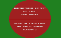 International Cricket