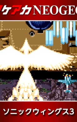 Aero Fighters 3