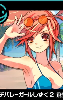 Beach Volley Girl Shizuku 2: Hishō-hen
