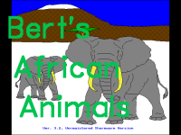 Bert's African Animals