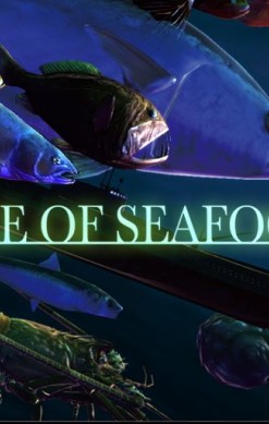 Ace of Seafood
