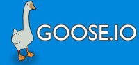Goose.io